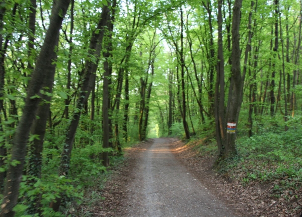 Karwoche Ostern_72