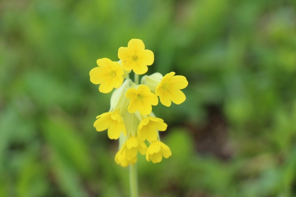 Karwoche Ostern_99